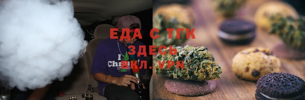 СК Алексин