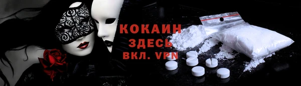 дживик Надым