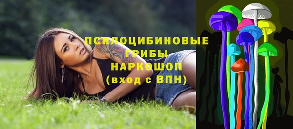 СК Алексин